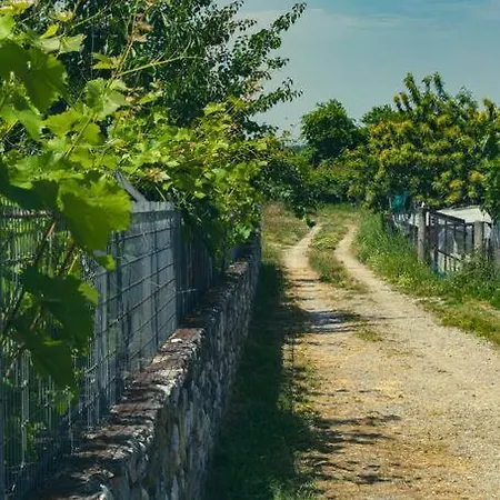 شاليه Zeusplace Skotina *