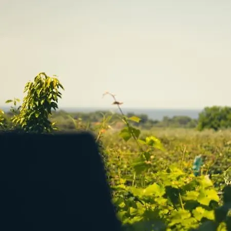 Zeusplace Skotina Paralía Skotínis