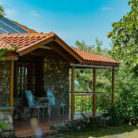 Zeusplace Skotina Paralía Skotínis