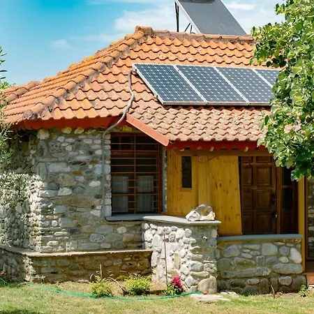 Zeusplace Skotina *