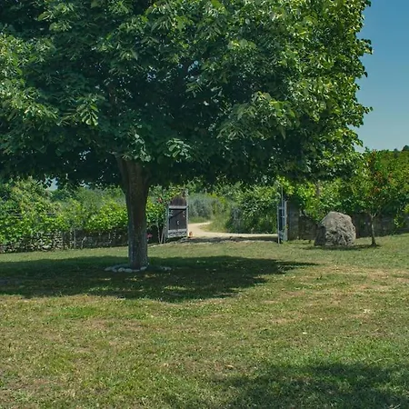 Zeusplace Skotina *