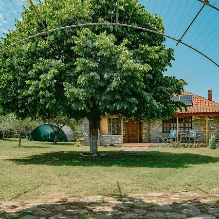 Alpehytte Zeusplace Skotina *