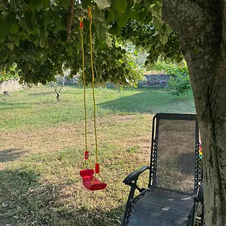 Zeusplace Skotina *