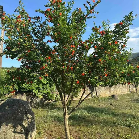 Zeusplace Skotina * Paralía Skotínis