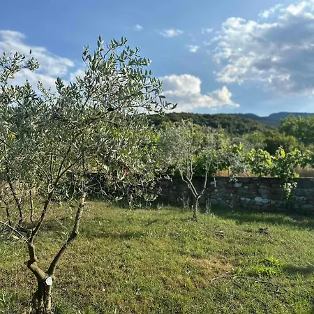 Zeusplace Skotina Chalet