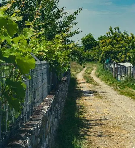 Σαλέ Zeusplace Skotina *