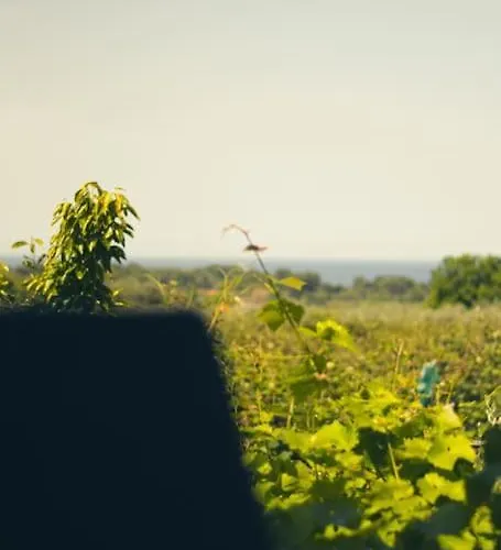 Zeusplace Skotina Paralía Skotínis