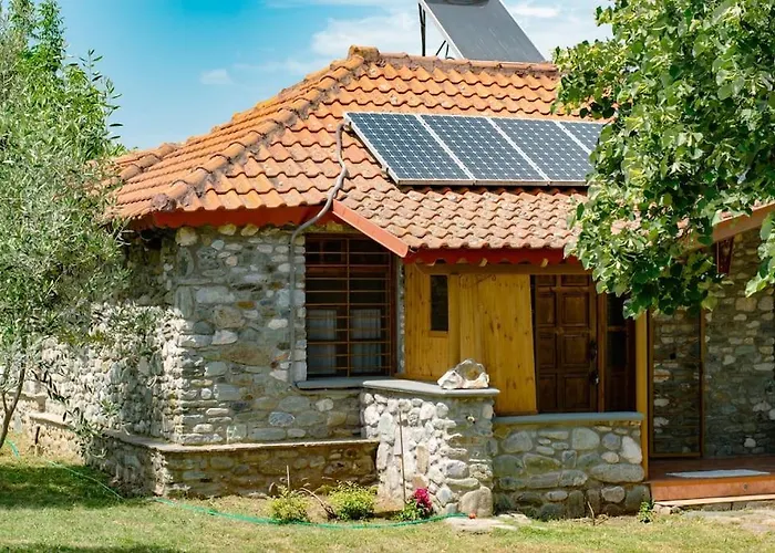 Zeusplace Skotina *