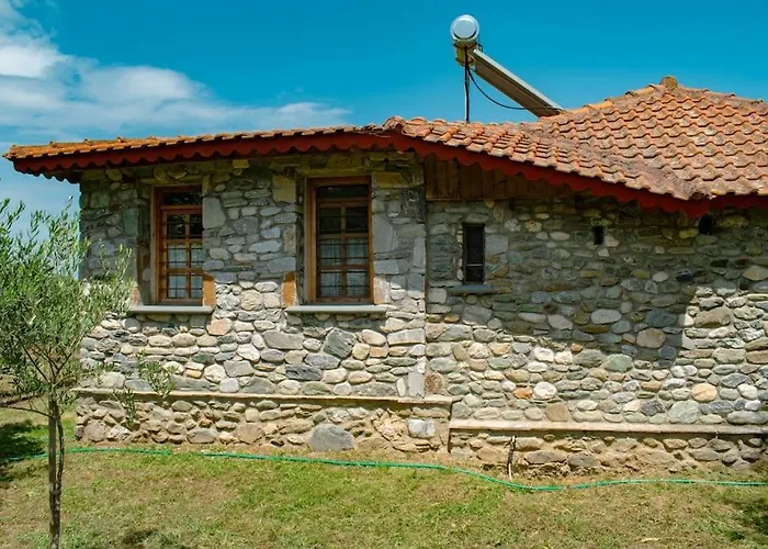 Zeusplace Skotina *