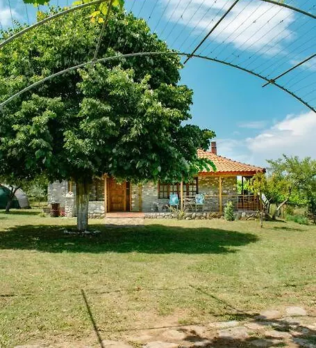 Σαλέ Zeusplace Skotina